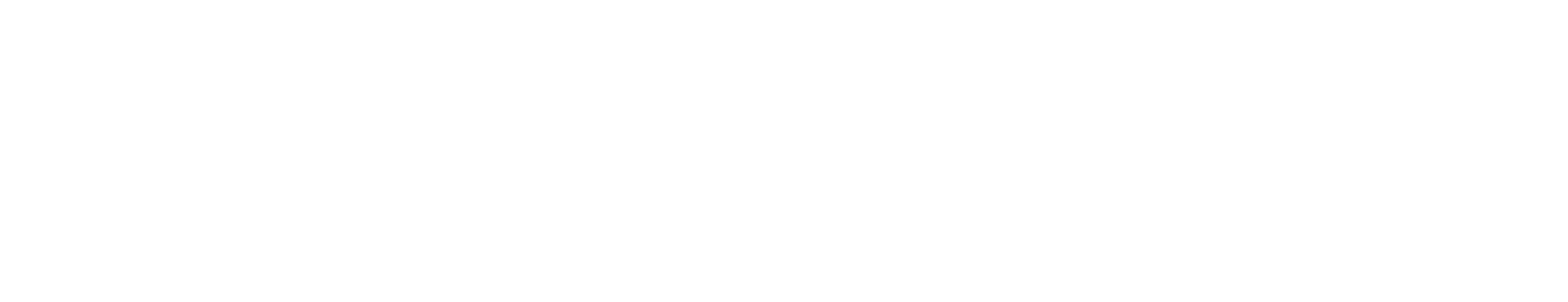 Logo Reset Webstudio